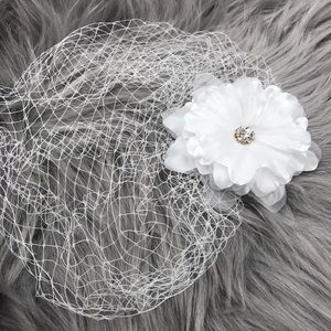 Birdcage Bridal Veil Rhinestone Feather Clip